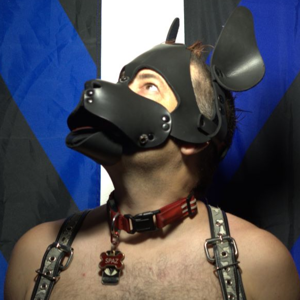 pup Spaz Photo