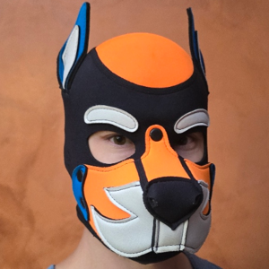 Pup Bandit Photo